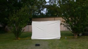 Gwynn Oak Movie Screen