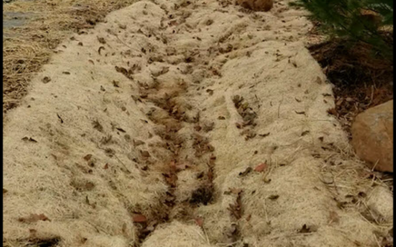 Vegetated Swale